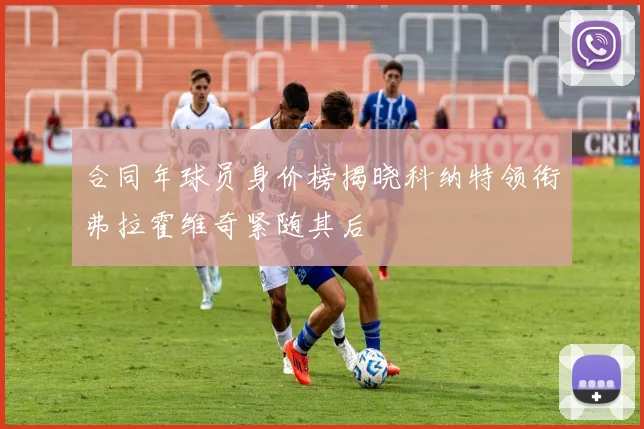合同年球员身价榜揭晓科纳特领衔弗拉霍维奇紧随其后