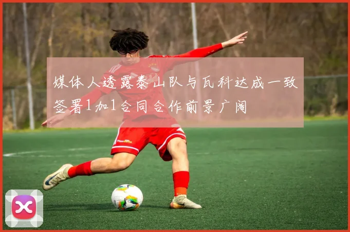 媒体人透露泰山队与瓦科达成一致签署1加1合同合作前景广阔
