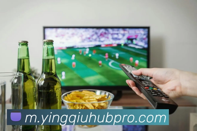 天天盈球平台生态图